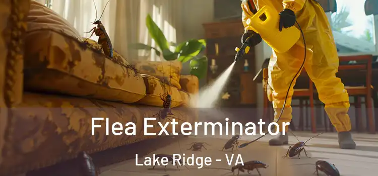  Flea Exterminator Lake Ridge - VA