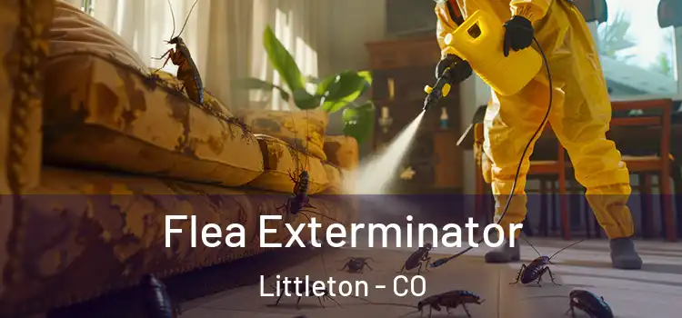 Flea Exterminator Littleton - CO