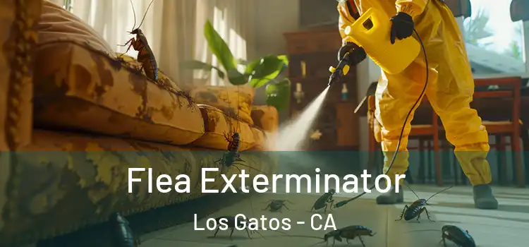  Flea Exterminator Los Gatos - CA
