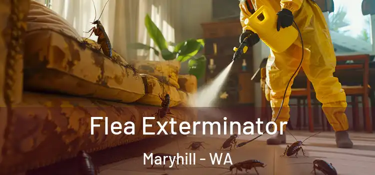  Flea Exterminator Maryhill - WA