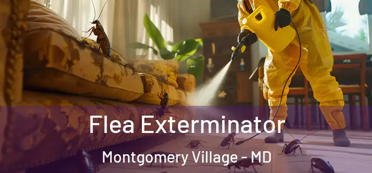  Flea Exterminator Montgomery Village - MD