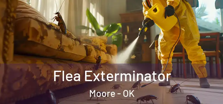  Flea Exterminator Moore - OK