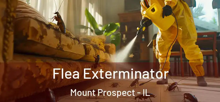  Flea Exterminator Mount Prospect - IL