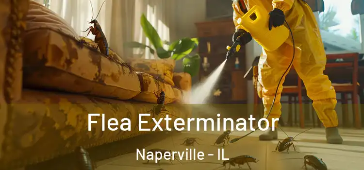  Flea Exterminator Naperville - IL