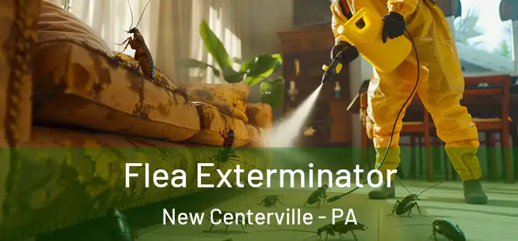 Flea Exterminator New Centerville - PA