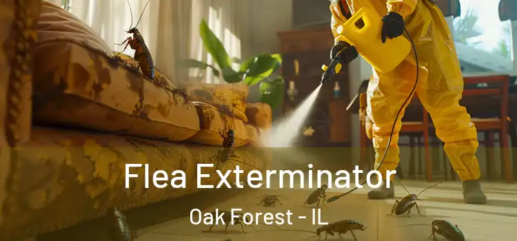  Flea Exterminator Oak Forest - IL