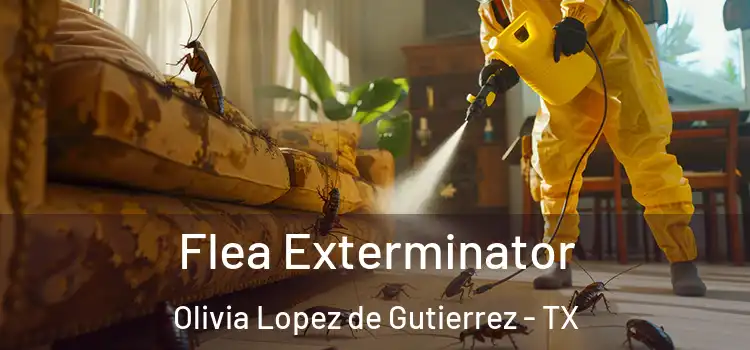  Flea Exterminator Olivia Lopez de Gutierrez - TX
