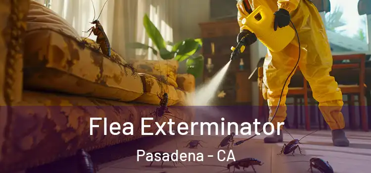  Flea Exterminator Pasadena - CA
