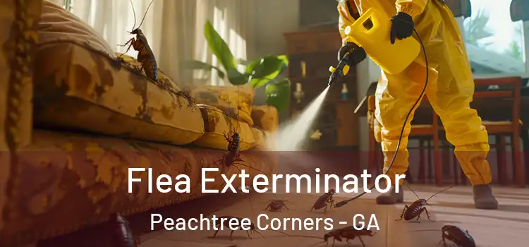  Flea Exterminator Peachtree Corners - GA