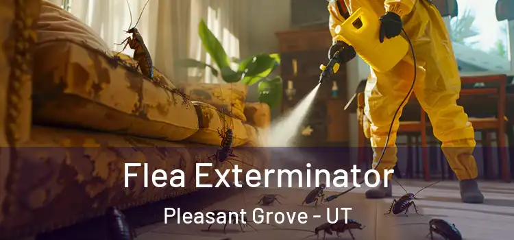 Flea Exterminator Pleasant Grove - UT