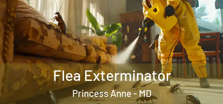  Flea Exterminator Princess Anne - MD