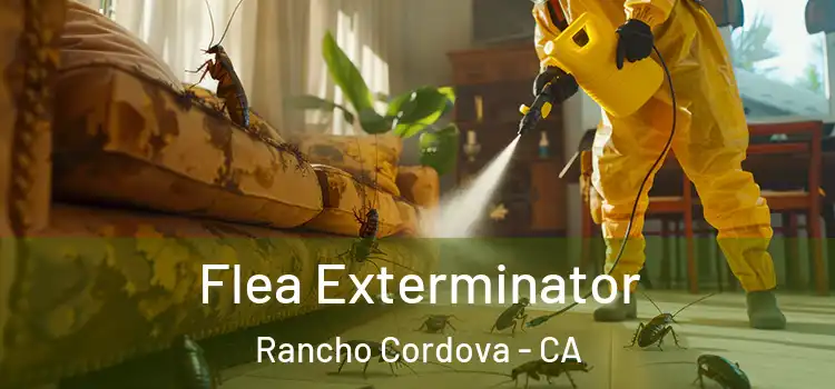  Flea Exterminator Rancho Cordova - CA