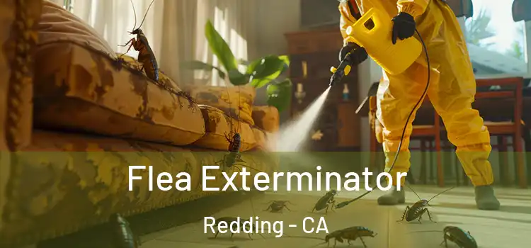 Flea Exterminator Redding - CA
