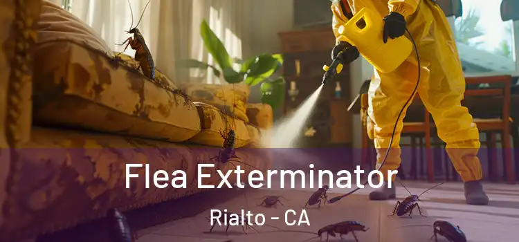 Flea Exterminator Rialto - CA