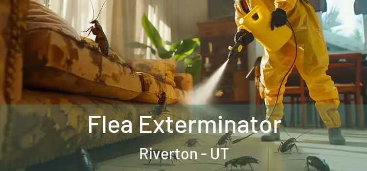  Flea Exterminator Riverton - UT
