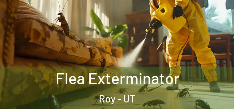  Flea Exterminator Roy - UT