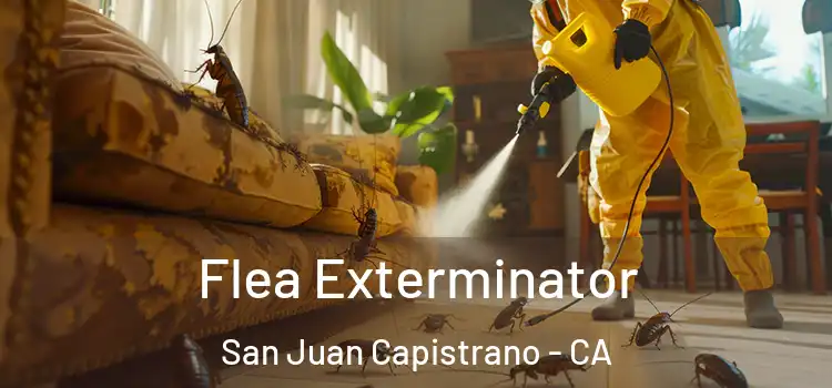  Flea Exterminator San Juan Capistrano - CA