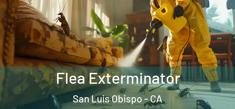  Flea Exterminator San Luis Obispo - CA