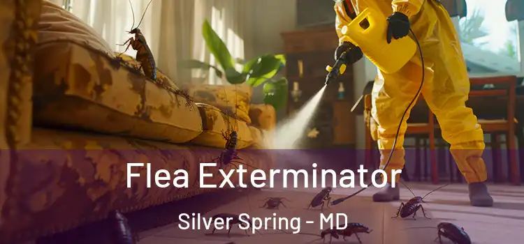  Flea Exterminator Silver Spring - MD