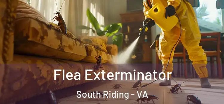  Flea Exterminator South Riding - VA