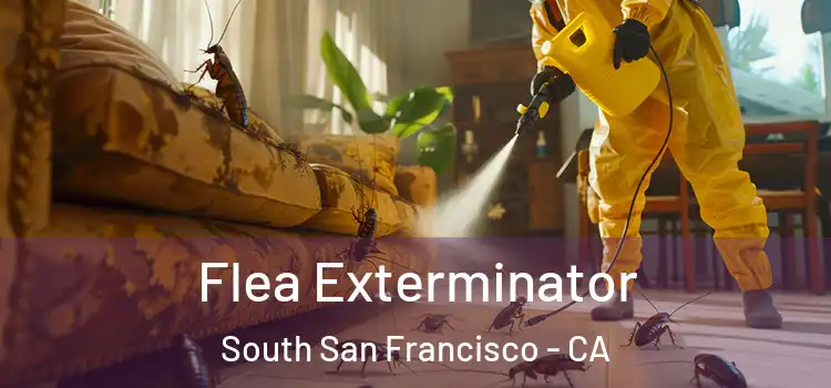  Flea Exterminator South San Francisco - CA