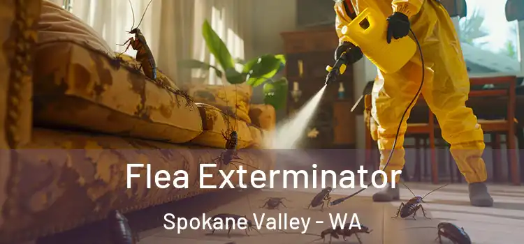  Flea Exterminator Spokane Valley - WA