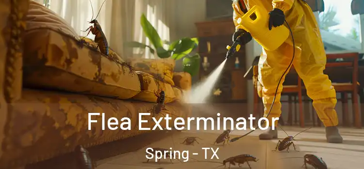  Flea Exterminator Spring - TX