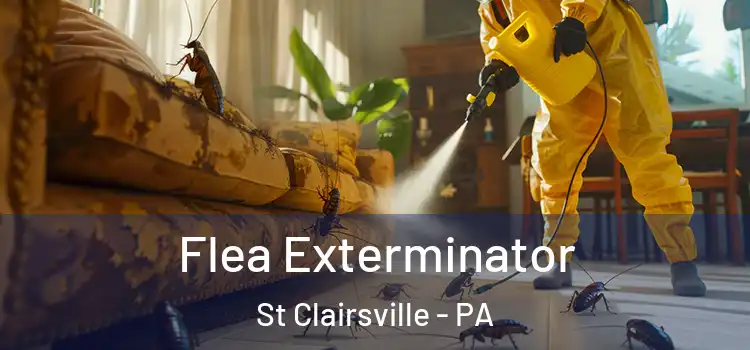 Flea Exterminator St Clairsville - PA