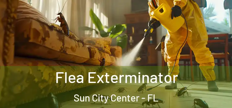  Flea Exterminator Sun City Center - FL