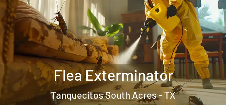  Flea Exterminator Tanquecitos South Acres - TX