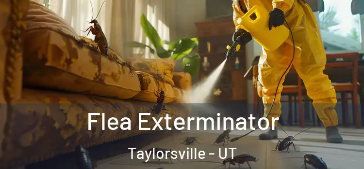  Flea Exterminator Taylorsville - UT