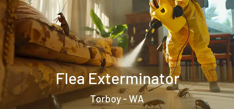  Flea Exterminator Torboy - WA