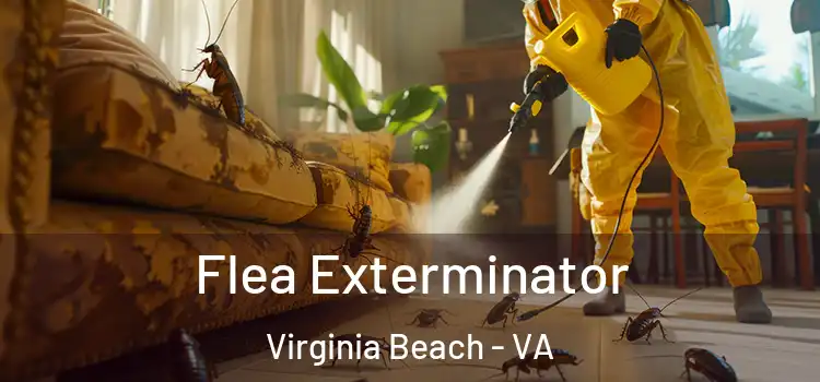  Flea Exterminator Virginia Beach - VA