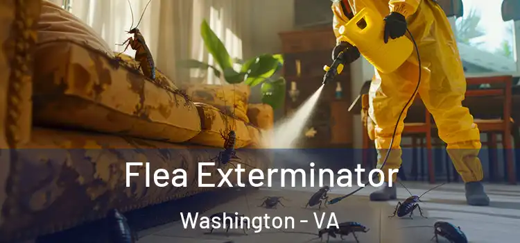 Flea Exterminator Washington - VA
