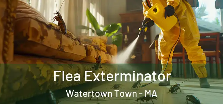  Flea Exterminator Watertown Town - MA