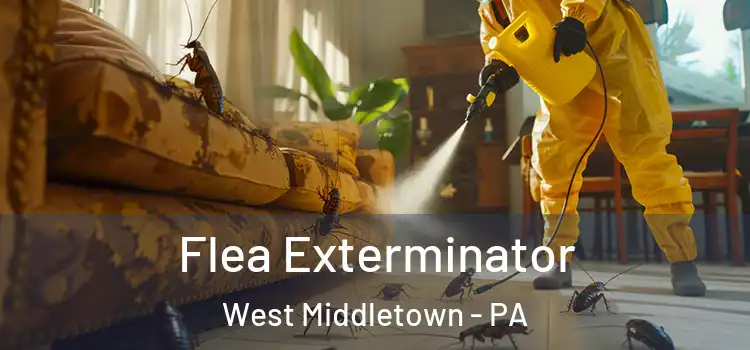 Flea Exterminator West Middletown - PA