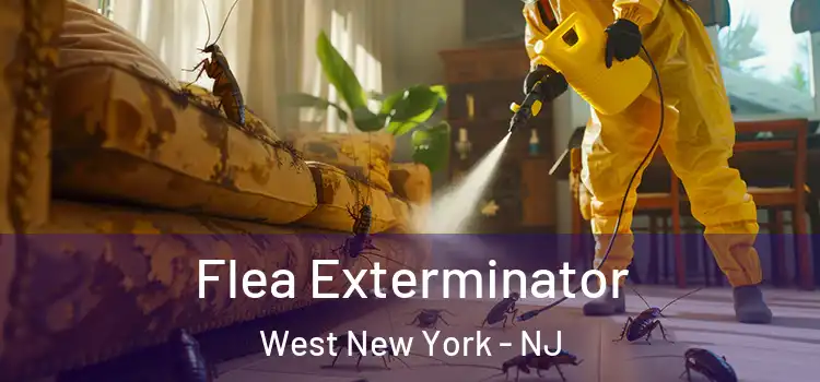  Flea Exterminator West New York - NJ
