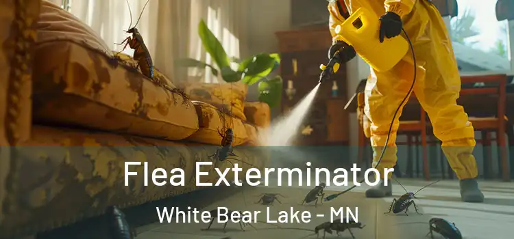  Flea Exterminator White Bear Lake - MN