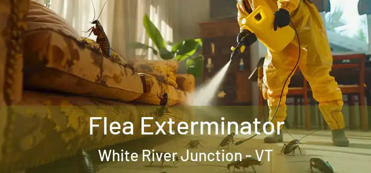  Flea Exterminator White River Junction - VT