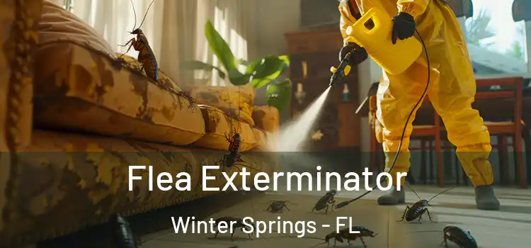 Flea Exterminator Winter Springs - FL