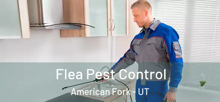  Flea Pest Control American Fork - UT