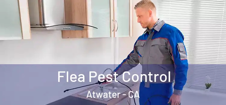 Flea Pest Control Atwater - CA
