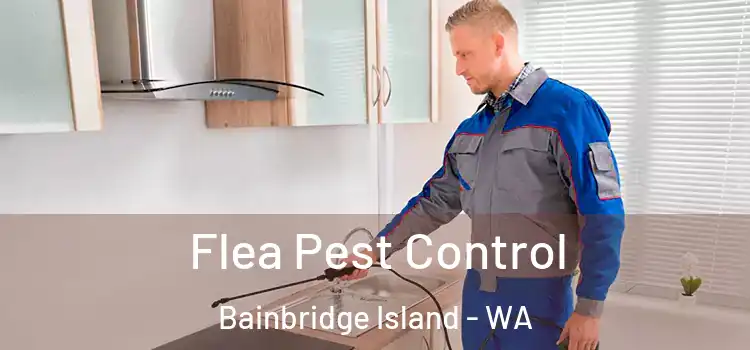  Flea Pest Control Bainbridge Island - WA