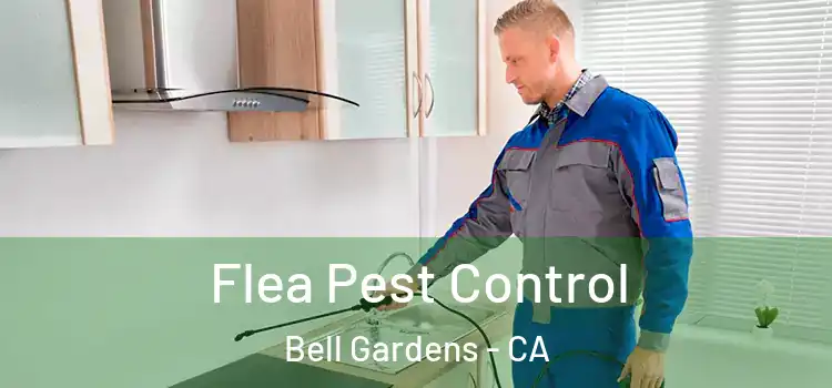  Flea Pest Control Bell Gardens - CA
