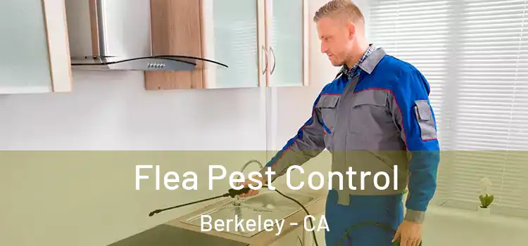 Flea Pest Control Berkeley - CA