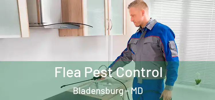  Flea Pest Control Bladensburg - MD