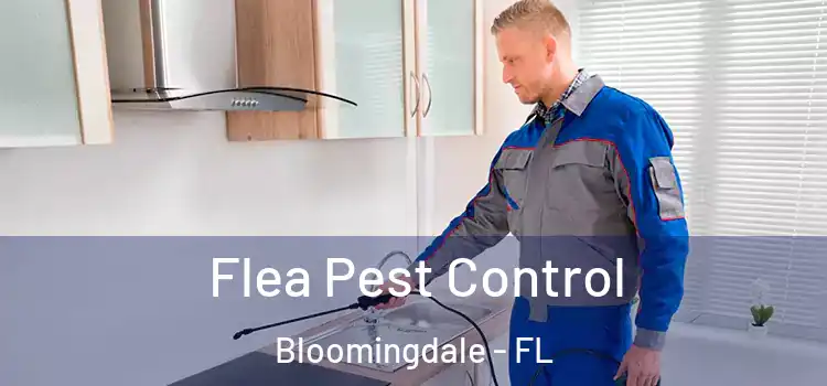  Flea Pest Control Bloomingdale - FL