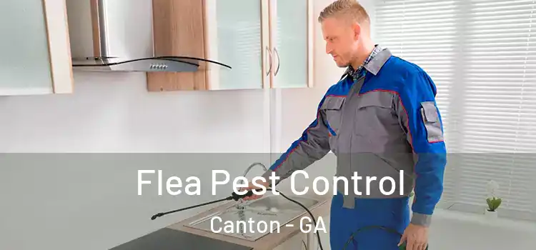  Flea Pest Control Canton - GA
