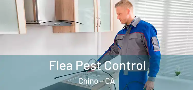  Flea Pest Control Chino - CA