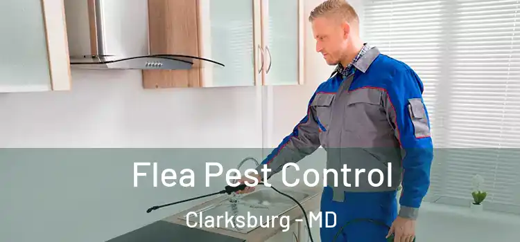  Flea Pest Control Clarksburg - MD
